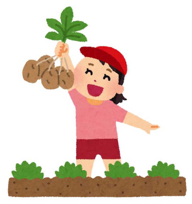じゃがいもの収穫 済美保育園